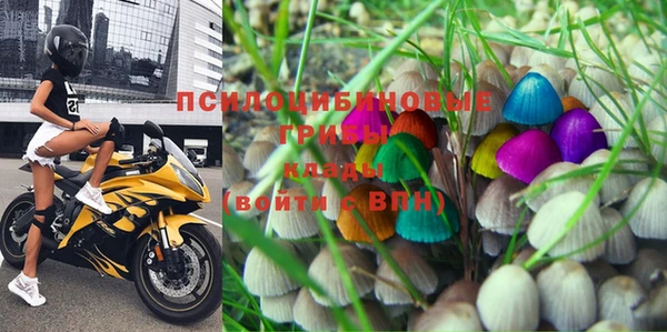 mix Белокуриха
