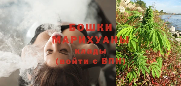 винт Богданович
