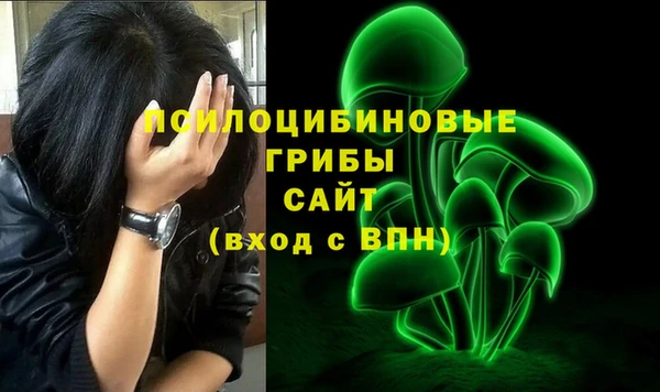 скорость Богородицк