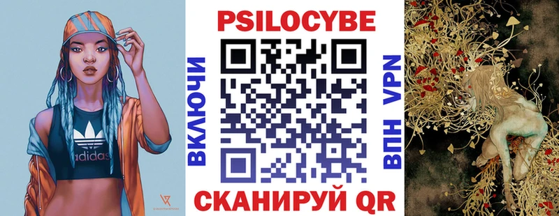 хочу наркоту  Саяногорск  Галлюциногенные грибы Cubensis 